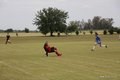 IMG_5118