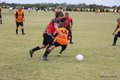IMG_5046