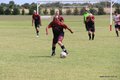 IMG_6905
