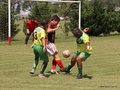 IMG_7085