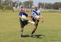 IMG_7113