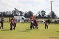 IMG_0375