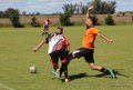 IMG_0414