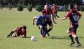 IMG_0531