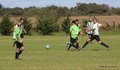 IMG_0446