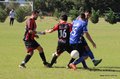 IMG_0529