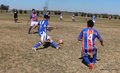 IMG_0728