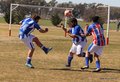 IMG_0733