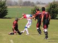 IMG_2054