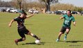 IMG_2048