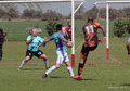 IMG_2087