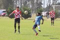IMG_2139