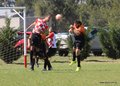 IMG_2705