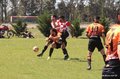 IMG_2701