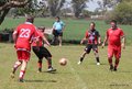 IMG_3186