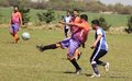 IMG_3117