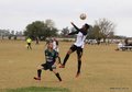 IMG_0017