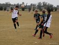 IMG_0019