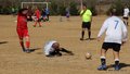 IMG_0585