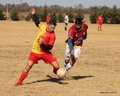 IMG_0605