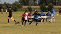 IMG_8380