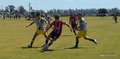IMG_20220312_142019554