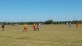 IMG_20220312_143139066