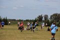 IMG_8733