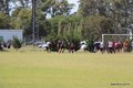 IMG_8585