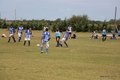IMG_8617