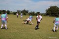 IMG_8665