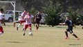 IMG_8757