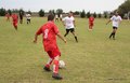 IMG_5971