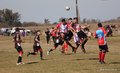 IMG_3124