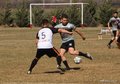 IMG_3054