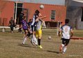 IMG_3154