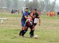 IMG_3310