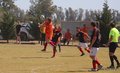 IMG_3531