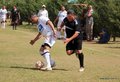 IMG_4374