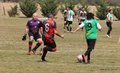 IMG_4268