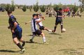 IMG_4606