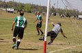 IMG_4517