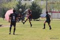 IMG_4447