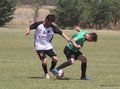 IMG_4542