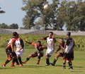 IMG_7310